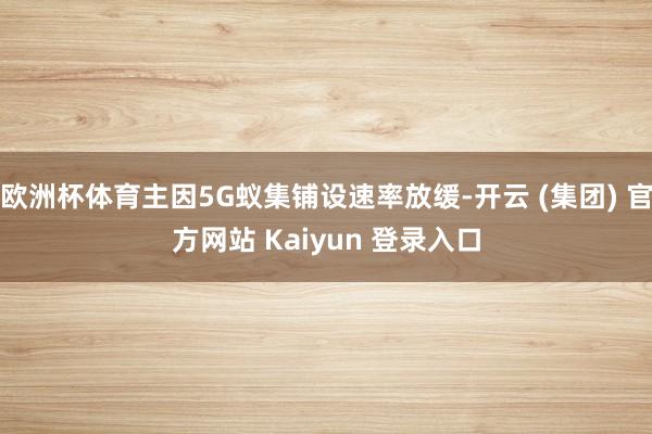 欧洲杯体育主因5G蚁集铺设速率放缓-开云 (集团) 官方网站 Kaiyun 登录入口