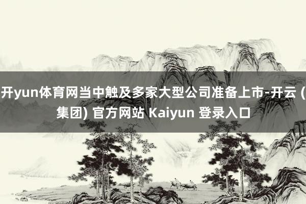 开yun体育网当中触及多家大型公司准备上市-开云 (集团) 官方网站 Kaiyun 登录入口