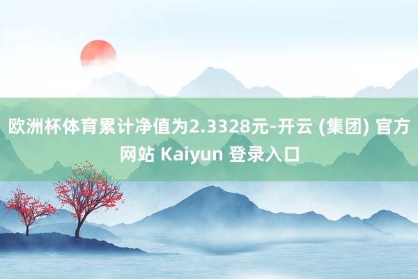 欧洲杯体育累计净值为2.3328元-开云 (集团) 官方网站 Kaiyun 登录入口