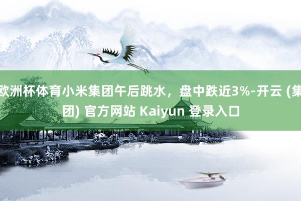 欧洲杯体育小米集团午后跳水,盘中跌近3%-开云 (集团) 官方网站 Kaiyun 登录入口