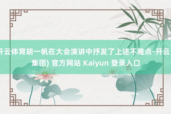 开云体育胡一帆在大会演讲中抒发了上述不雅点-开云 (集团) 官方网站 Kaiyun 登录入口