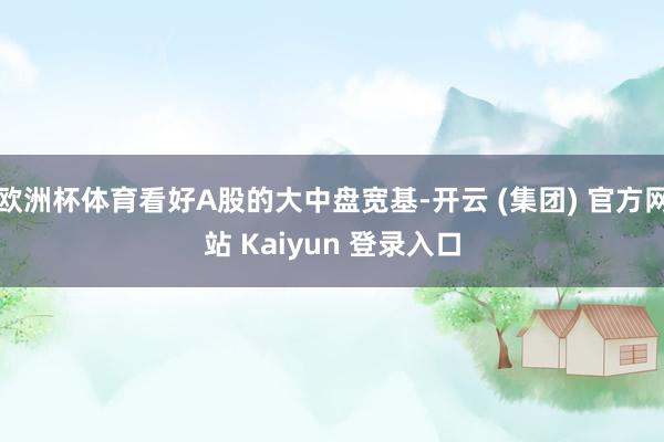 欧洲杯体育看好A股的大中盘宽基-开云 (集团) 官方网站 Kaiyun 登录入口