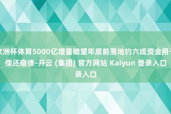 欧洲杯体育5000亿增量瞻望年底前落地约六成资金用于偿还宿债-开云 (集团) 官方网站 Kaiyun 登录入口