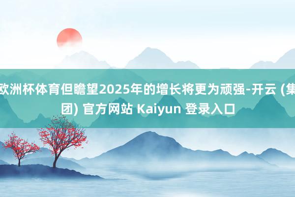 欧洲杯体育但瞻望2025年的增长将更为顽强-开云 (集团) 官方网站 Kaiyun 登录入口